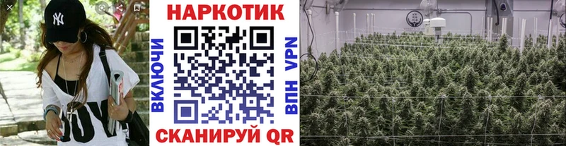 Что такое Берёзовка NBOMe Cocaine A-PVP