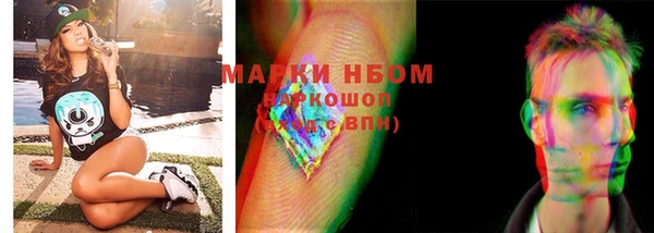 Альфа ПВП Няндома