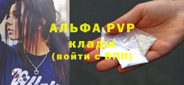 стафф Осташков