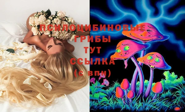 стафф Осташков