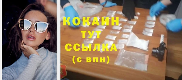 стафф Осташков