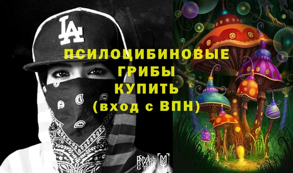 Альфа ПВП Няндома