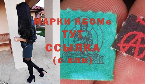 Альфа ПВП Няндома