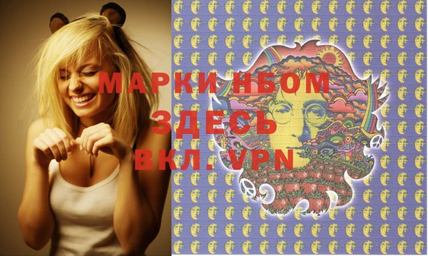 Альфа ПВП Няндома