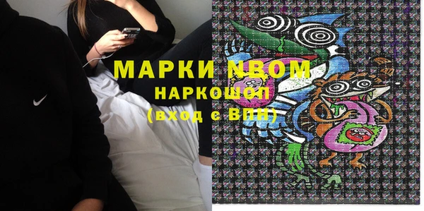 стафф Осташков