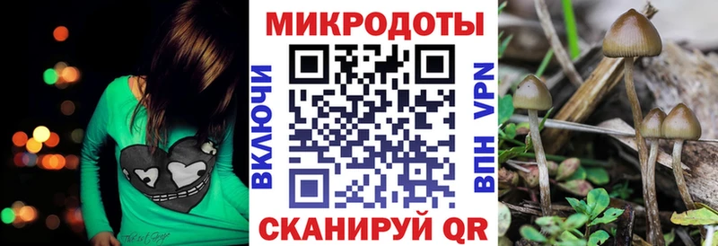Псилоцибиновые грибы ЛСД  Берёзовка 